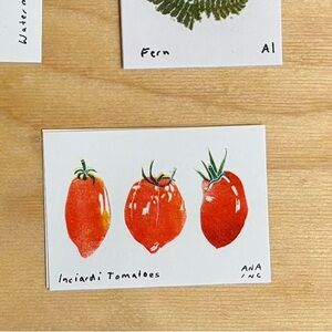 Inciardi Tomatoes Mini Print